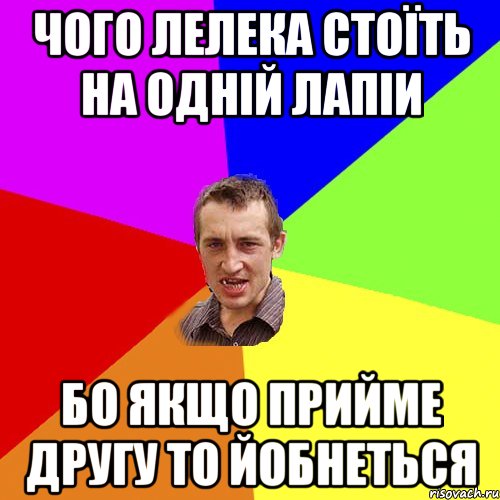 ЧОГО ЛЕЛЕКА СТОЇТЬ НА ОДНІЙ ЛАПІИ БО ЯКЩО ПРИЙМЕ ДРУГУ ТО ЙОБНЕТЬСЯ, Мем Чоткий паца