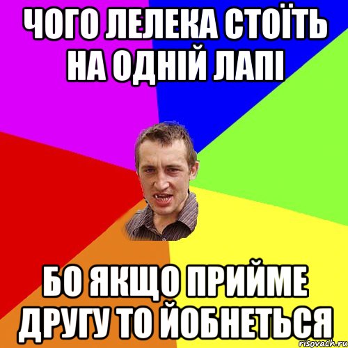 ЧОГО ЛЕЛЕКА СТОЇТЬ НА ОДНІЙ ЛАПІ БО ЯКЩО ПРИЙМЕ ДРУГУ ТО ЙОБНЕТЬСЯ, Мем Чоткий паца