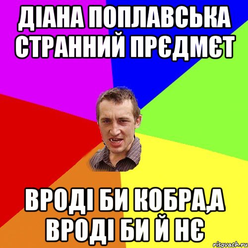 Діана Поплавська странний прєдмєт вроді би кобра,а вроді би й нє, Мем Чоткий паца