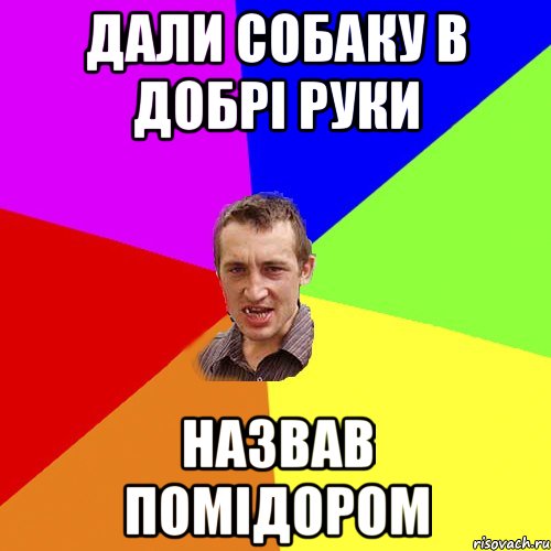 ДАЛИ СОБАКУ В ДОБРІ РУКИ НАЗВАВ ПОМІДОРОМ, Мем Чоткий паца