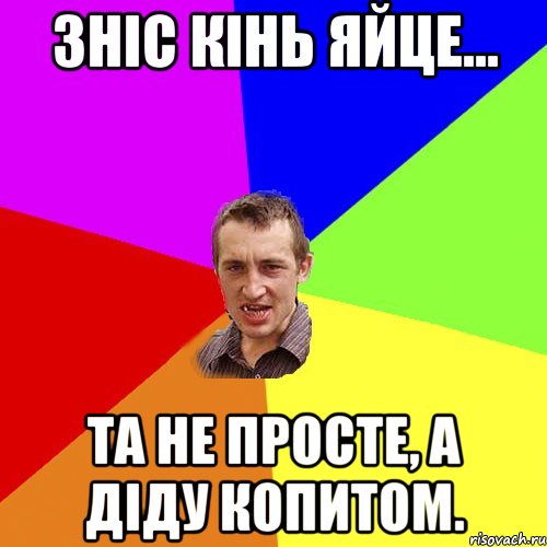 Зніс кінь яйце... та не просте, а діду копитом., Мем Чоткий паца