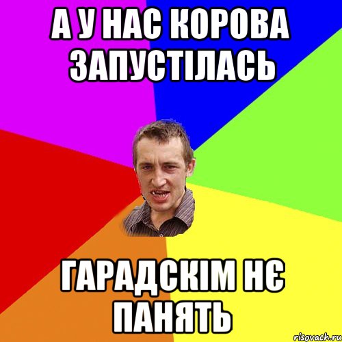 а у нас корова запустілась гарадскім нє панять, Мем Чоткий паца