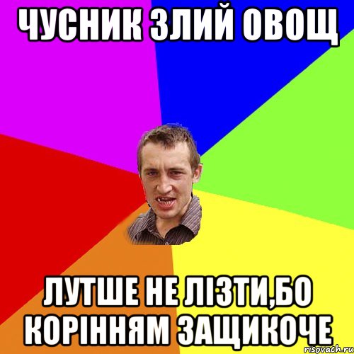 Чусник злий овощ Лутше не лізти,бо корінням защикоче, Мем Чоткий паца