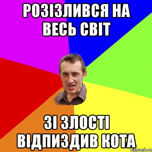 розізлився на весь світ зі злості відпиздив кота, Мем Чоткий паца