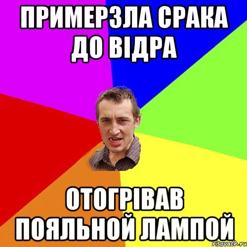 примерзла срака до відра отогрівав пояльной лампой, Мем Чоткий паца