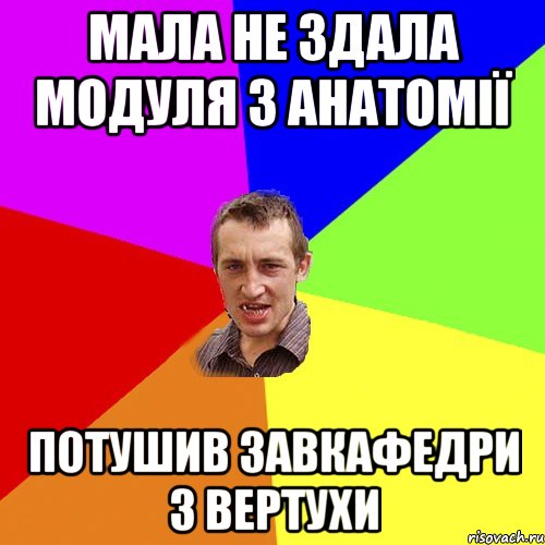 Мала не здала модуля з анатомії потушив завкафедри з вертухи, Мем Чоткий паца