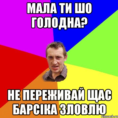 мала ти шо голодна? не переживай щас барсіка зловлю, Мем Чоткий паца