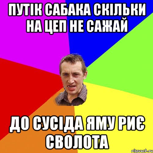 ПУтік сабака скільки на цеп не сажай до сусіда яму риє сволота, Мем Чоткий паца