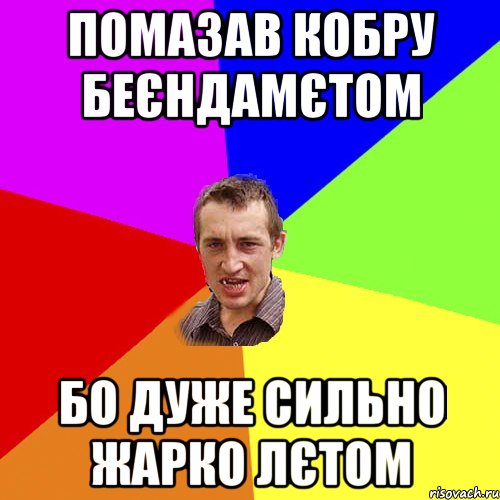 Помазав кобру Беєндамєтом Бо дуже сильно жарко лєтом, Мем Чоткий паца