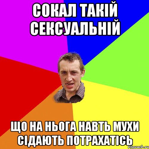 Сокал такiй сексуальнiй що на ньога навть мухи сiдають потрахатiсь, Мем Чоткий паца