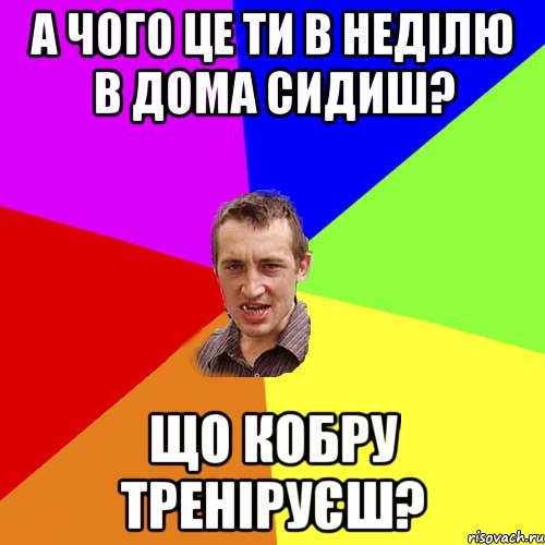 А чого це ти в неділю в дома сидиш? що кобру треніруєш?, Мем Чоткий паца