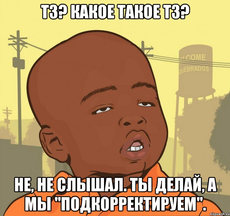 ТЗ? Какое такое ТЗ? Не, не слышал. Ты делай, а мы "подкорректируем"., Мем Пацан наркоман