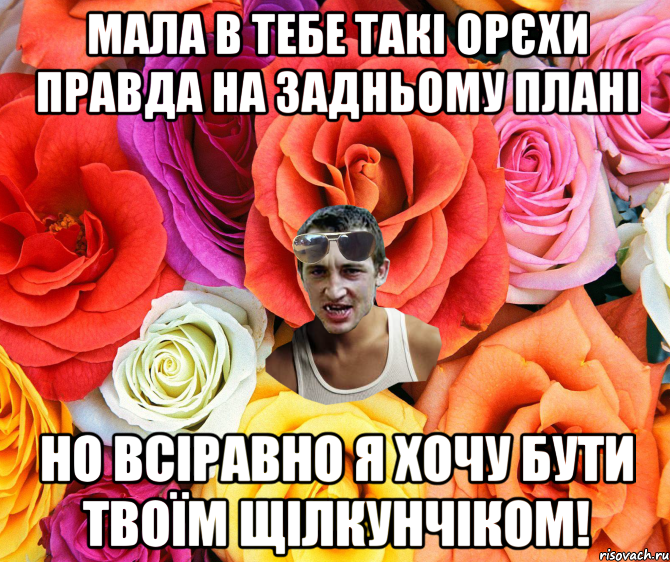 Мала в тебе такі орєхи правда на задньому плані но всіравно я хочу бути твоїм щілкунчіком!, Мем  пацанчо