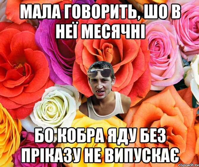 Мала говорить, шо в неї месячні Бо кобра яду без пріказу не випускає, Мем  пацанчо