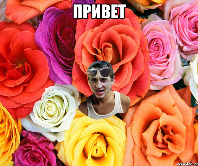 привет 