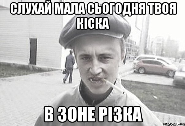 Слухай мала сьогодня твоя кіска в зоне різка, Мем Пацанська философия