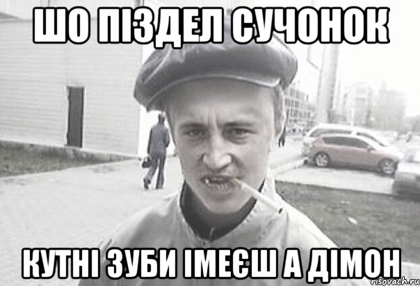 шо піздел сучонок кутні зуби імеєш а дімон, Мем Пацанська философия