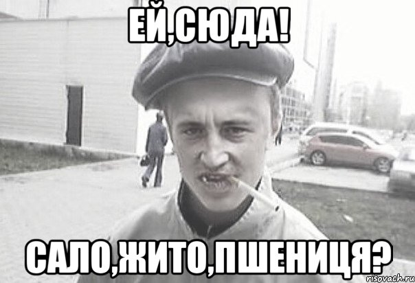 Ей,сюда! Сало,жито,пшениця?, Мем Пацанська философия