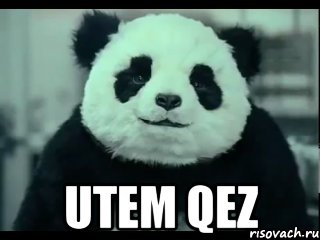  UTEM QEZ