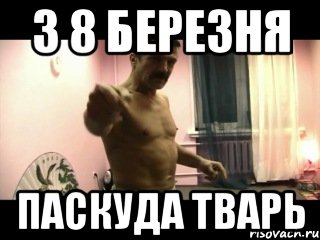 з 8 березня паскуда тварь, Мем Паскуда тварь