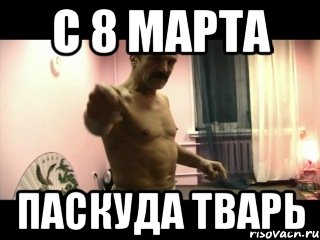 с 8 марта паскуда тварь, Мем Паскуда тварь