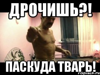 ДРОЧИШЬ?! ПАСКУДА ТВАРЬ!, Мем Паскуда тварь