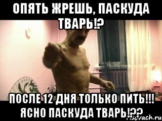 опять жрешь, паскуда тварь!? после 12 дня только пить!!! ясно паскуда тварь!??, Мем Паскуда тварь