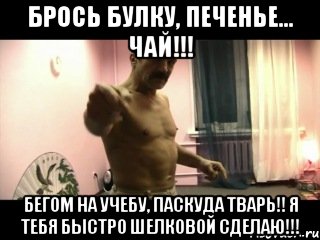 брось булку, печенье... чай!!! бегом на учебу, паскуда тварь!! я тебя быстро шелковой сделаю!!!