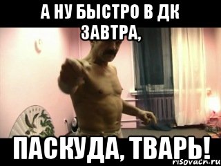 А ну быстро в ДК завтра, Паскуда, тварь!, Мем Паскуда тварь