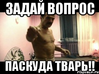 задай вопрос паскуда тварь!!, Мем Паскуда тварь