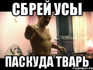 СБРЕЙ УСЫ ПАСКУДА ТВАРЬ