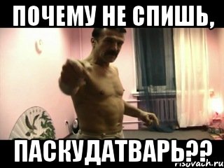 почему не спишь, ПАСКУДАТВАРЬ??, Мем Паскуда тварь