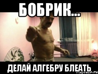 бобрик... делай алгебру блеать