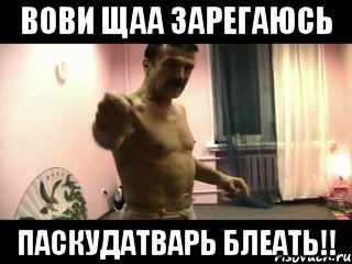 вови щаа зарегаюсь паскудатварь блеать!!, Мем Паскуда тварь