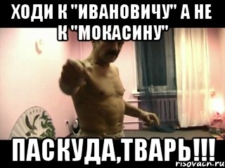 Ходи к "Ивановичу" а не к "Мокасину" ПАСКУДА,ТВАРЬ!!!, Мем Паскуда тварь