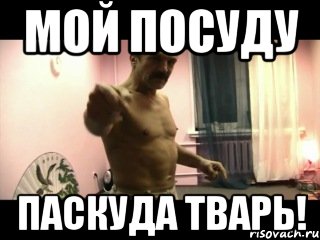 Мой посуду Паскуда тварь!, Мем Паскуда тварь