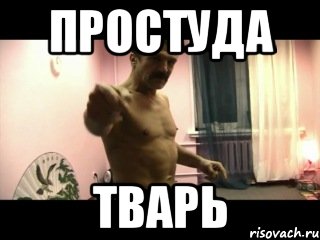 простуда тварь, Мем Паскуда тварь