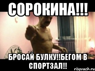 Сорокина!!! Бросай булку!!бегом в спортзал!!, Мем Паскуда тварь