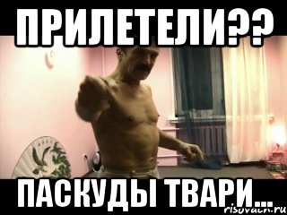 ПРИЛЕТЕЛИ?? ПАСКУДЫ ТВАРИ...