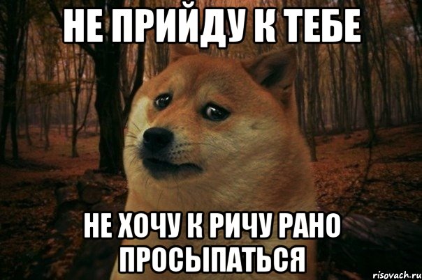 Не прийду к тебе Не хочу к Ричу рано просыпаться, Мем SAD DOGE