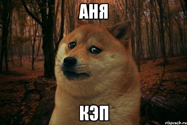 Аня Кэп, Мем SAD DOGE