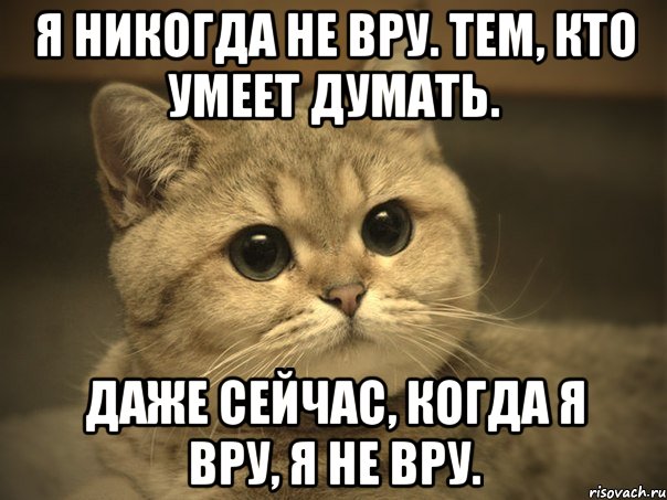 Я никогда не вру. Тем, кто умеет думать. Даже сейчас, когда я вру, я не вру., Мем Пидрила ебаная котик