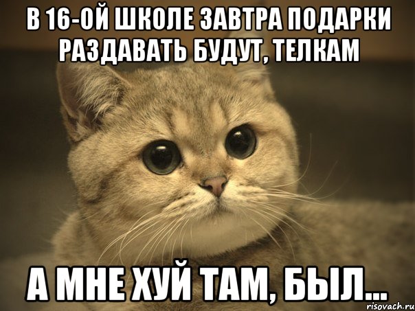 В 16-ой школе завтра подарки раздавать будут, телкам а мне хуй там, был..., Мем Пидрила ебаная котик