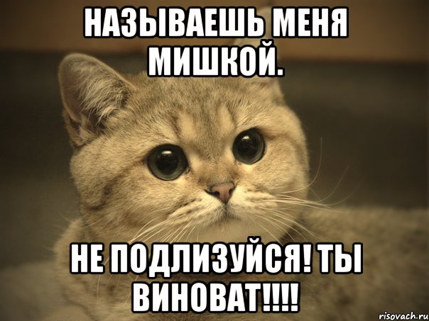 называешь меня мишкой. не подлизуйся! ты виноват!!!!, Мем Пидрила ебаная котик