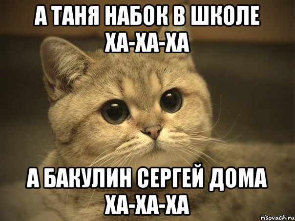 а таня набок в школе ха-ха-ха а бакулин сергей дома ха-ха-ха, Мем Пидрила ебаная котик