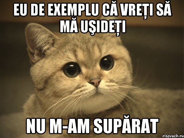 eu de exemplu că vreţi să mă uşideţi nu m-am supărat, Мем Пидрила ебаная котик