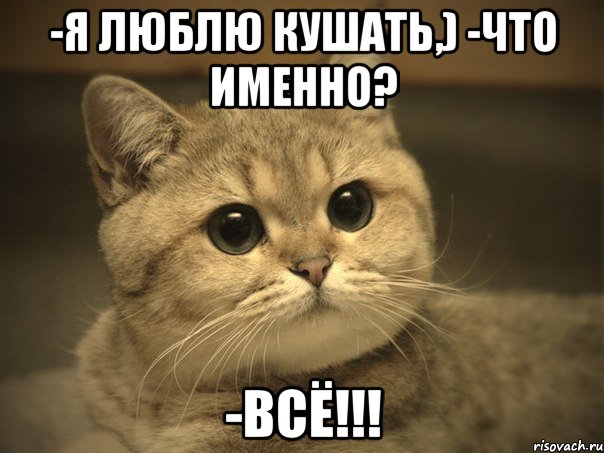 -я люблю кушать,) -что именно? -ВСЁ!!!, Мем Пидрила ебаная котик