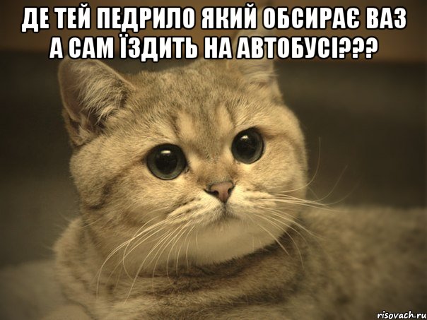 Де тей педрило який обсирає ВАЗ а сам їздить на автобусі??? , Мем Пидрила ебаная котик