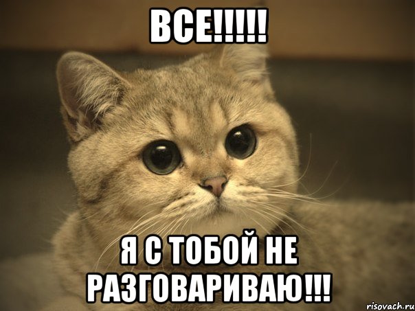 Все!!!!! Я с тобой не разговариваю!!!, Мем Пидрила ебаная котик