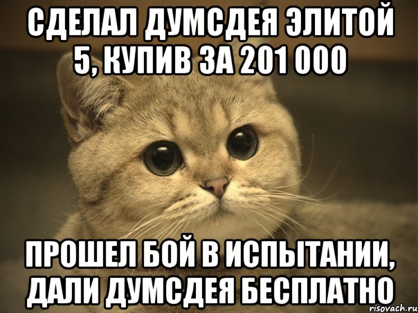 сделал думсдея элитой 5, купив за 201 000 прошел бой в испытании, дали думсдея бесплатно, Мем Пидрила ебаная котик